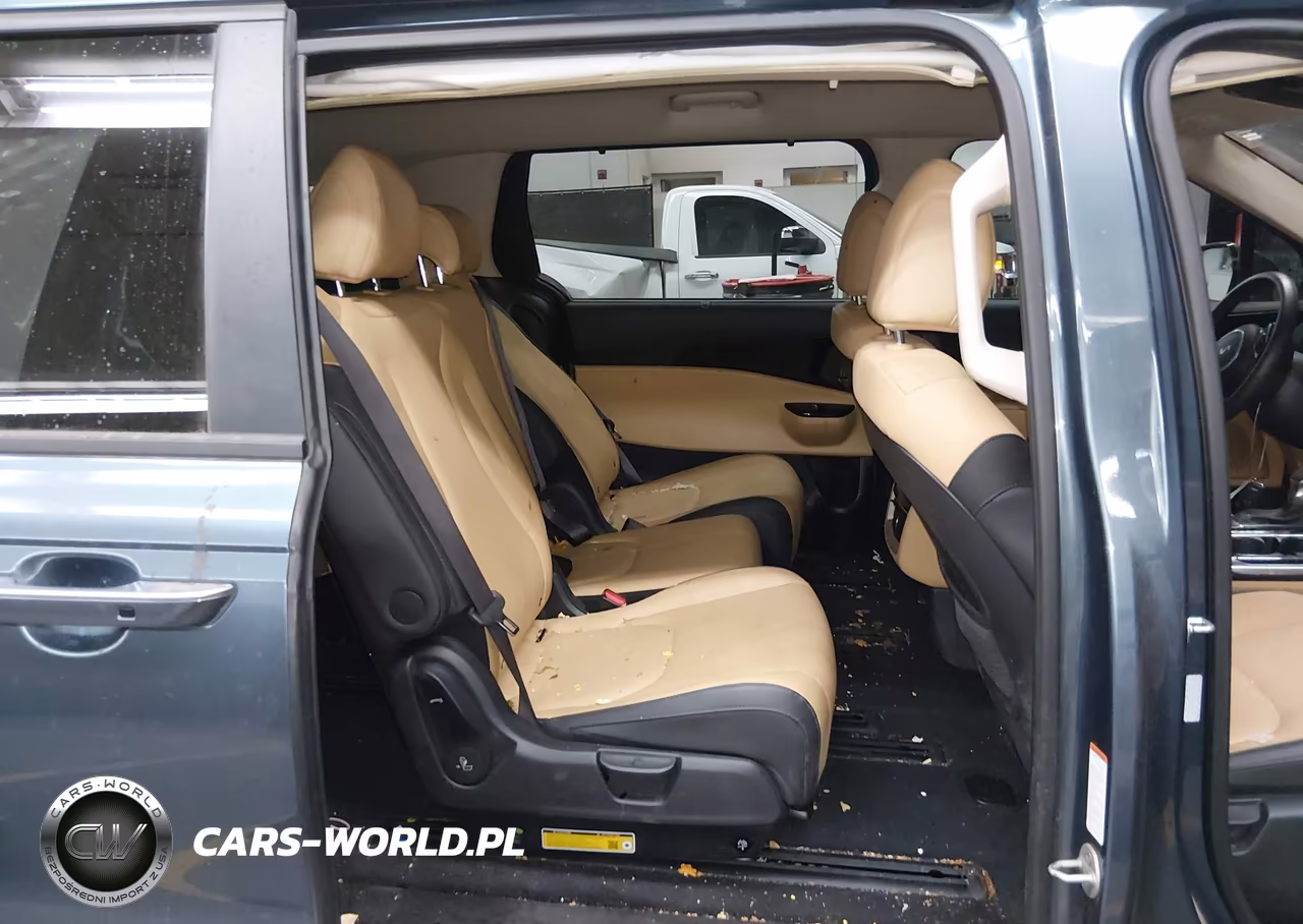 2024 Kia Carnival Mpv Ex VIN:KNDNC5H37R6448173 - 8