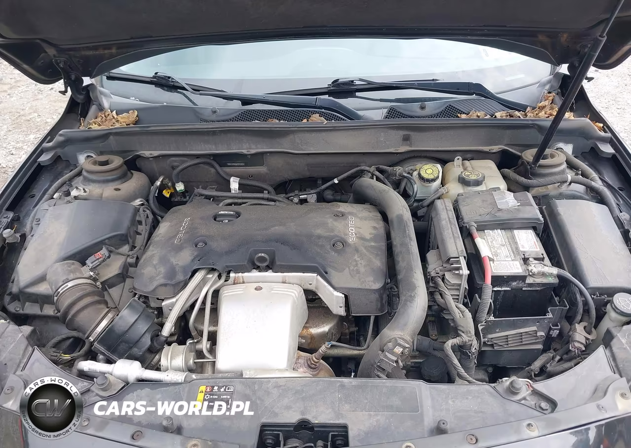 2013 Chevrolet Malibu 2Lz VIN:1G11J5SX3DF271297 - 10