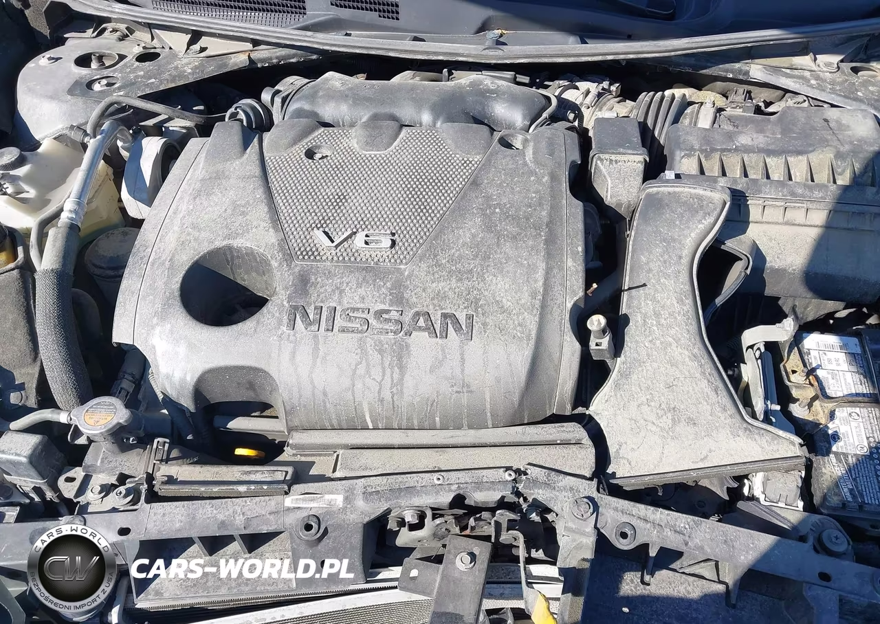 2018 Nissan Maxima 3.5 Sl VIN:1N4AA6AP8JC385264 - 10