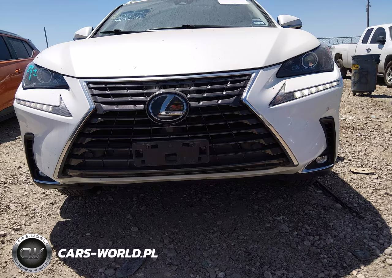 2019 Lexus Nx 300 VIN:JTJYARBZ4K2154568 - 13