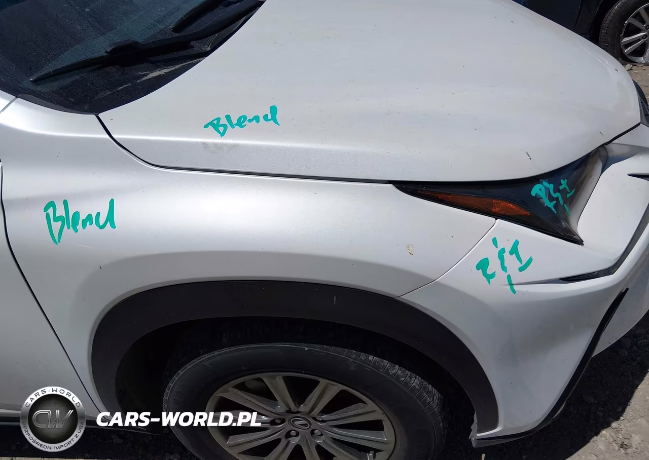 2019 Lexus Nx 300 VIN:JTJYARBZ4K2154568 - 18