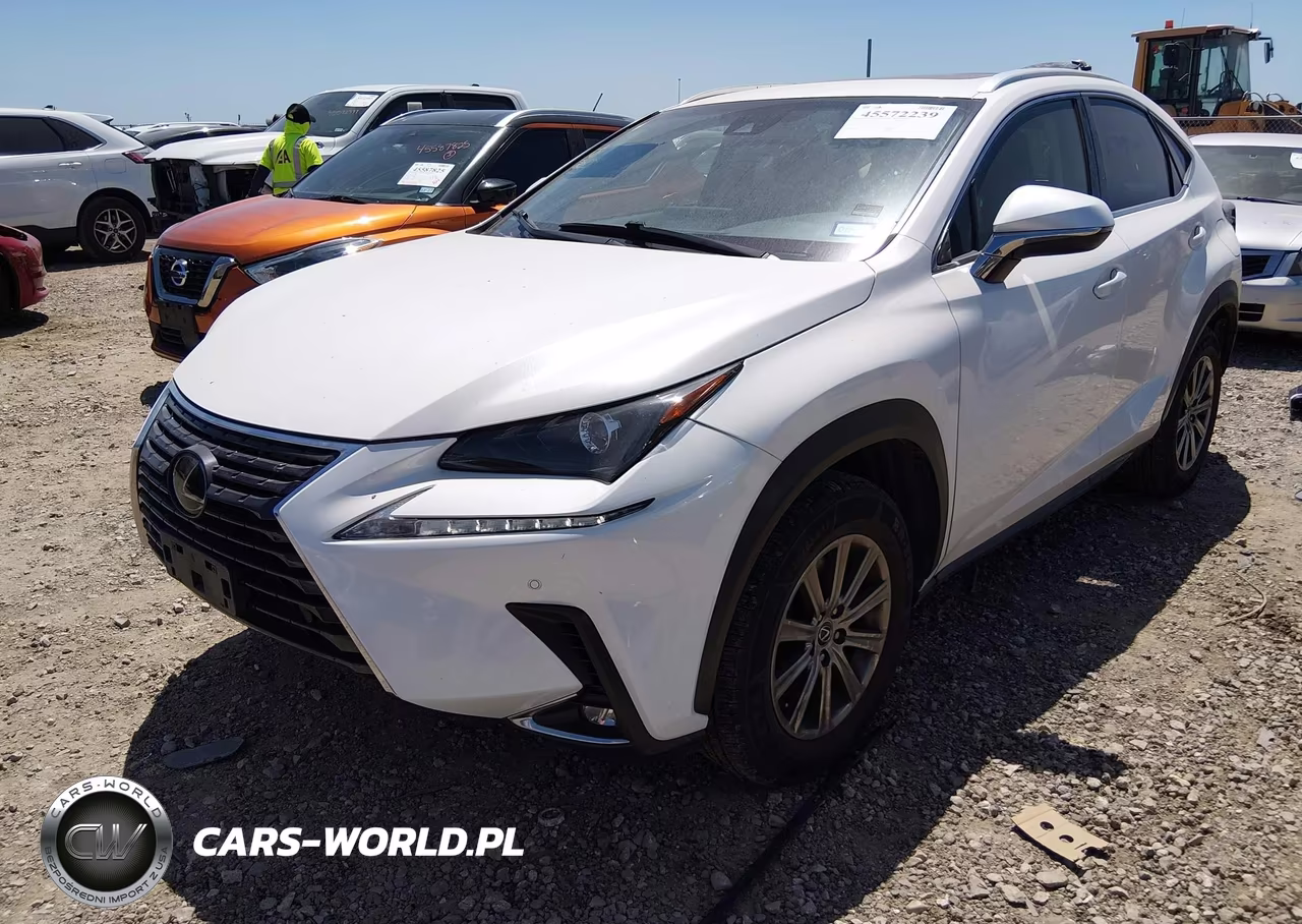 2019 Lexus Nx 300 VIN:JTJYARBZ4K2154568 - 2