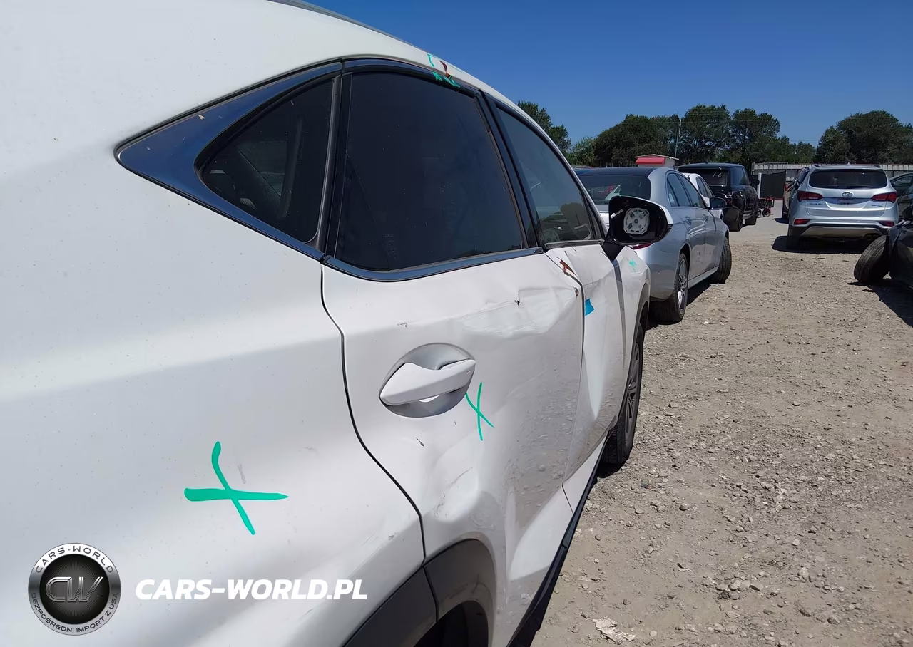 2019 Lexus Nx 300 VIN:JTJYARBZ4K2154568 - 21