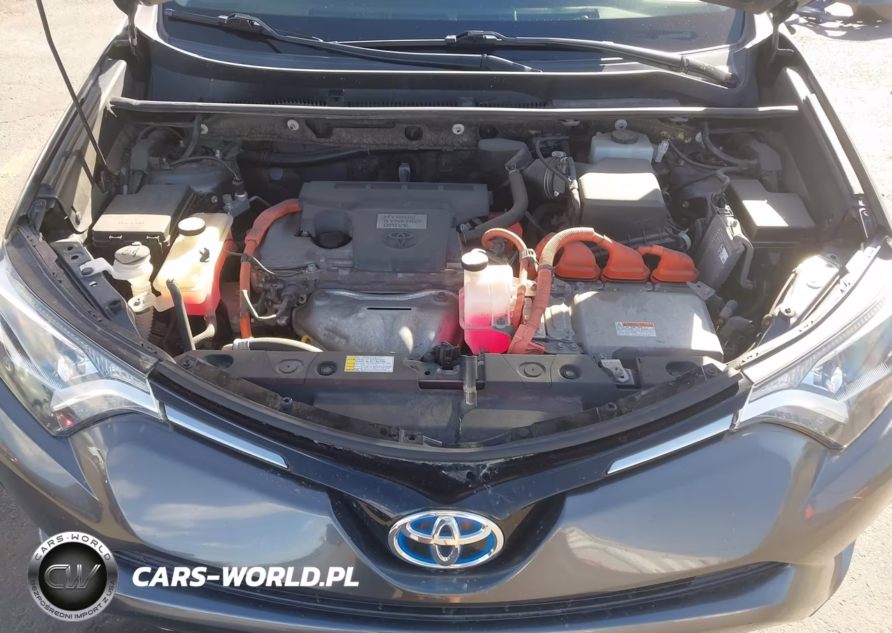2016 Toyota Rav4 Hybrid Xle VIN:JTMRJREV0GD049456 - 10