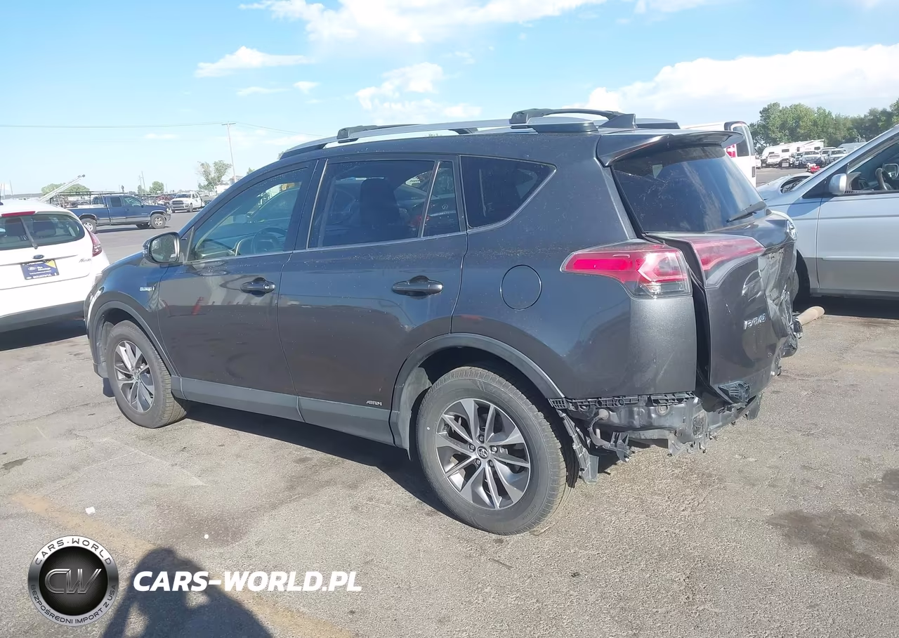 2016 Toyota Rav4 Hybrid Xle VIN:JTMRJREV0GD049456 - 3