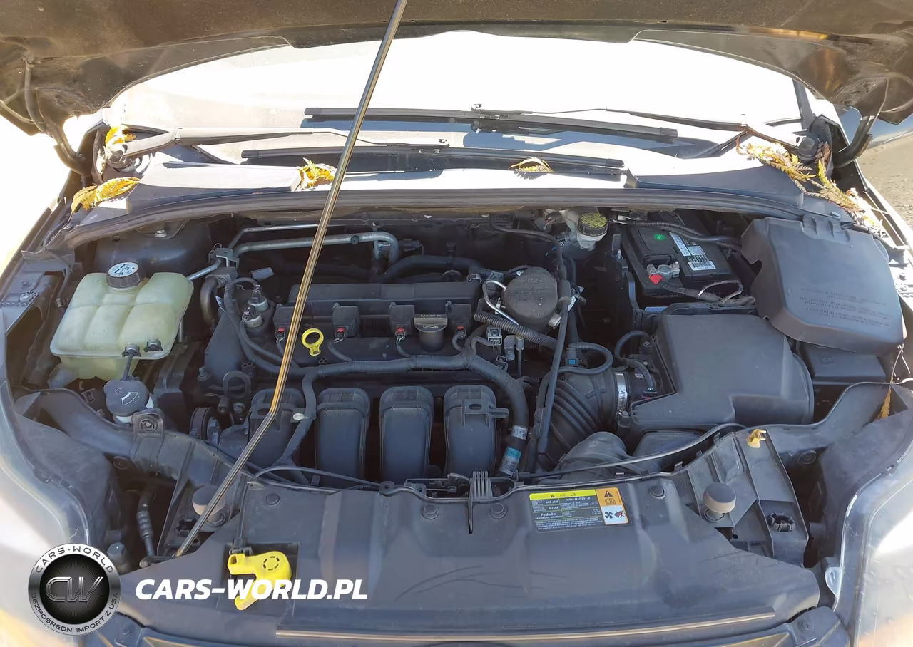 2013 Ford Focus Titanium VIN:1FADP3J2XDL117044 - 10