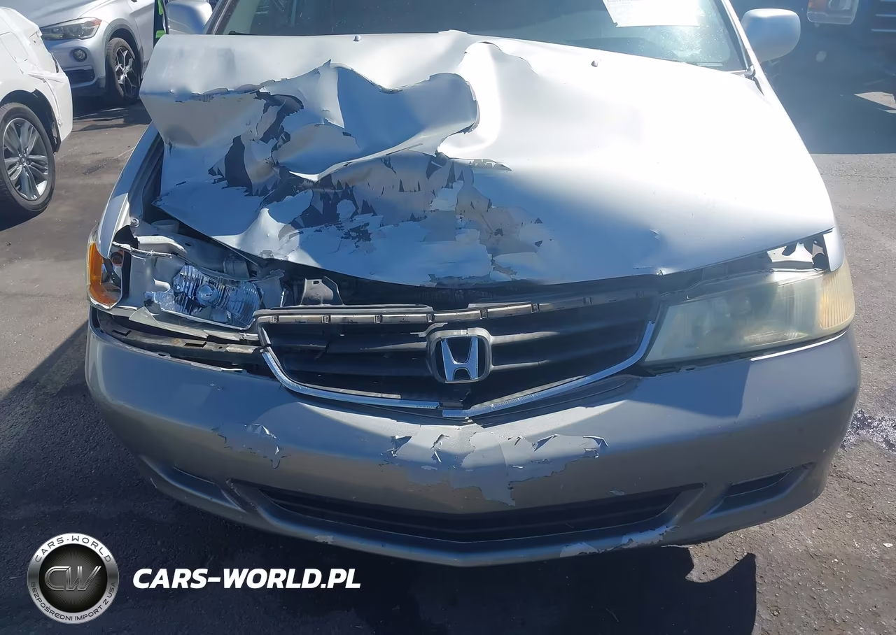 2004 Honda Odyssey Ex VIN:5FNRL186X4B031387 - 6