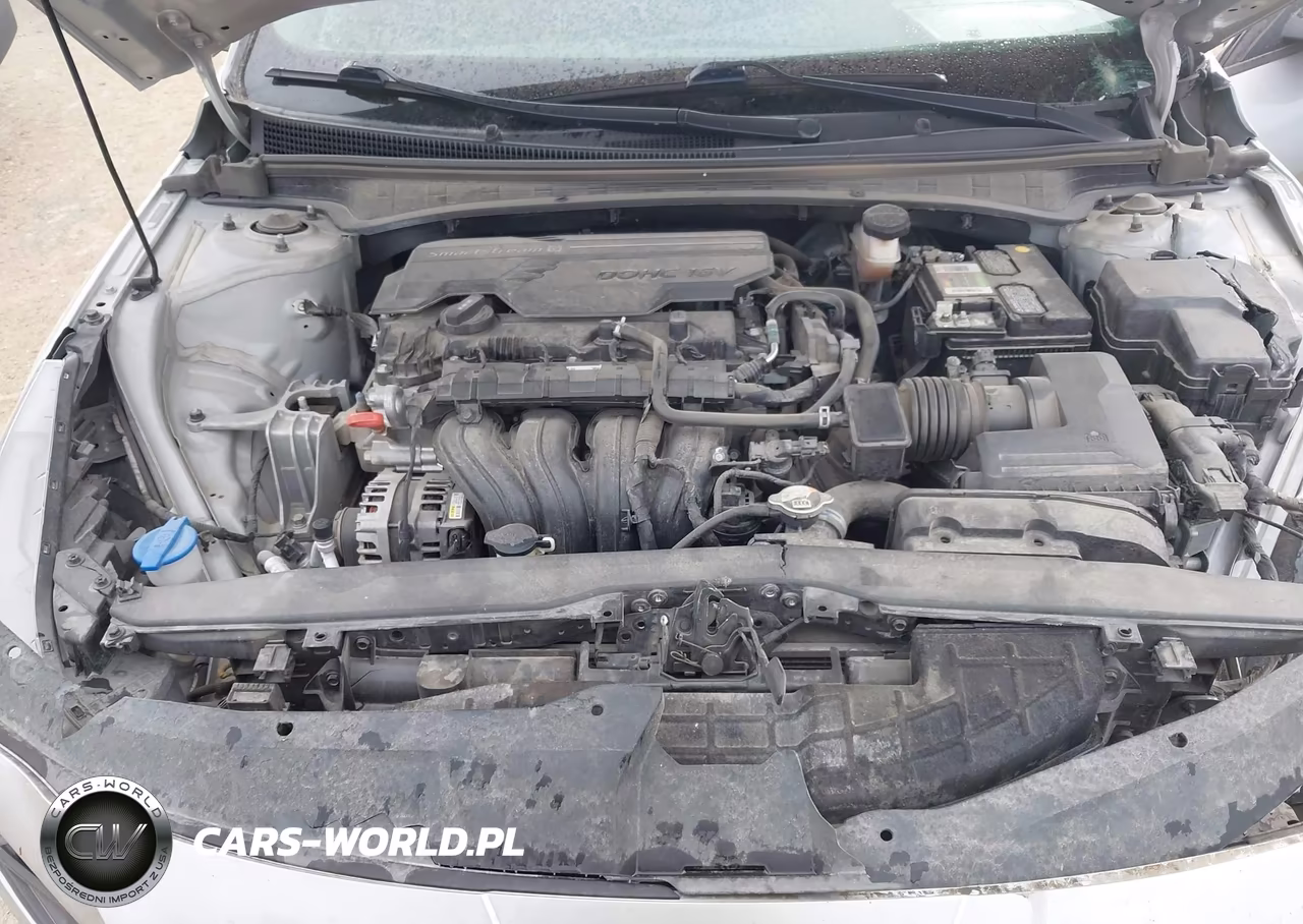 2021 Hyundai Elantra Sel VIN:5NPLM4AG8MH013656 - 10