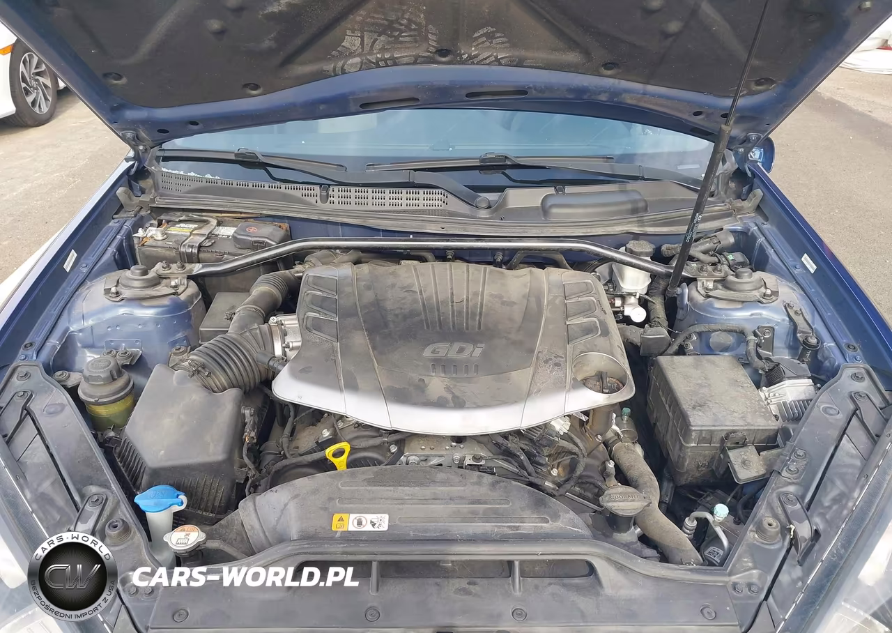 2014 Hyundai Genesis 3.8 Ultimate VIN:KMHHU6KJ5EU117729 - 10