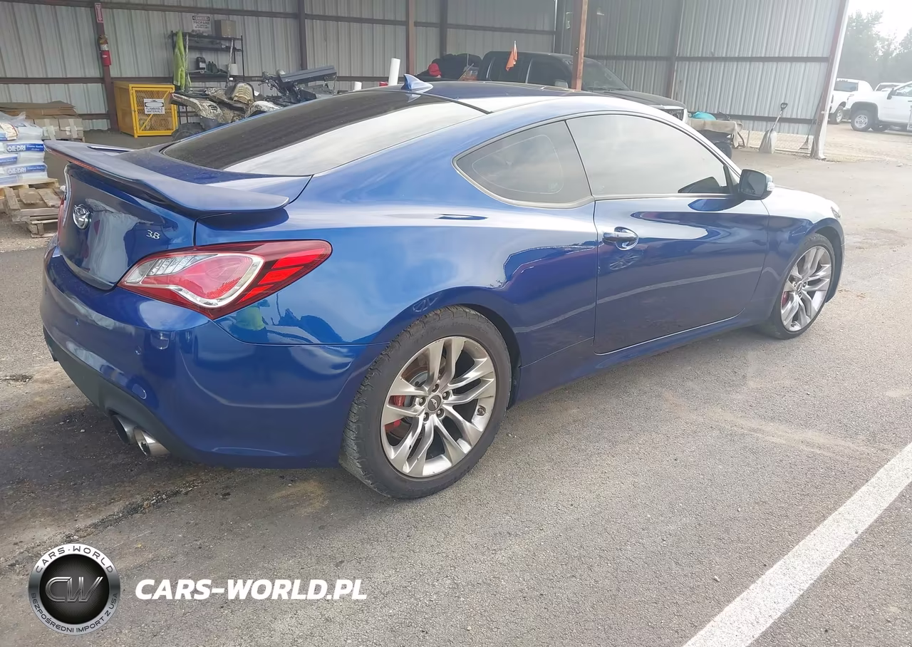 2014 Hyundai Genesis 3.8 Ultimate VIN:KMHHU6KJ5EU117729 - 4