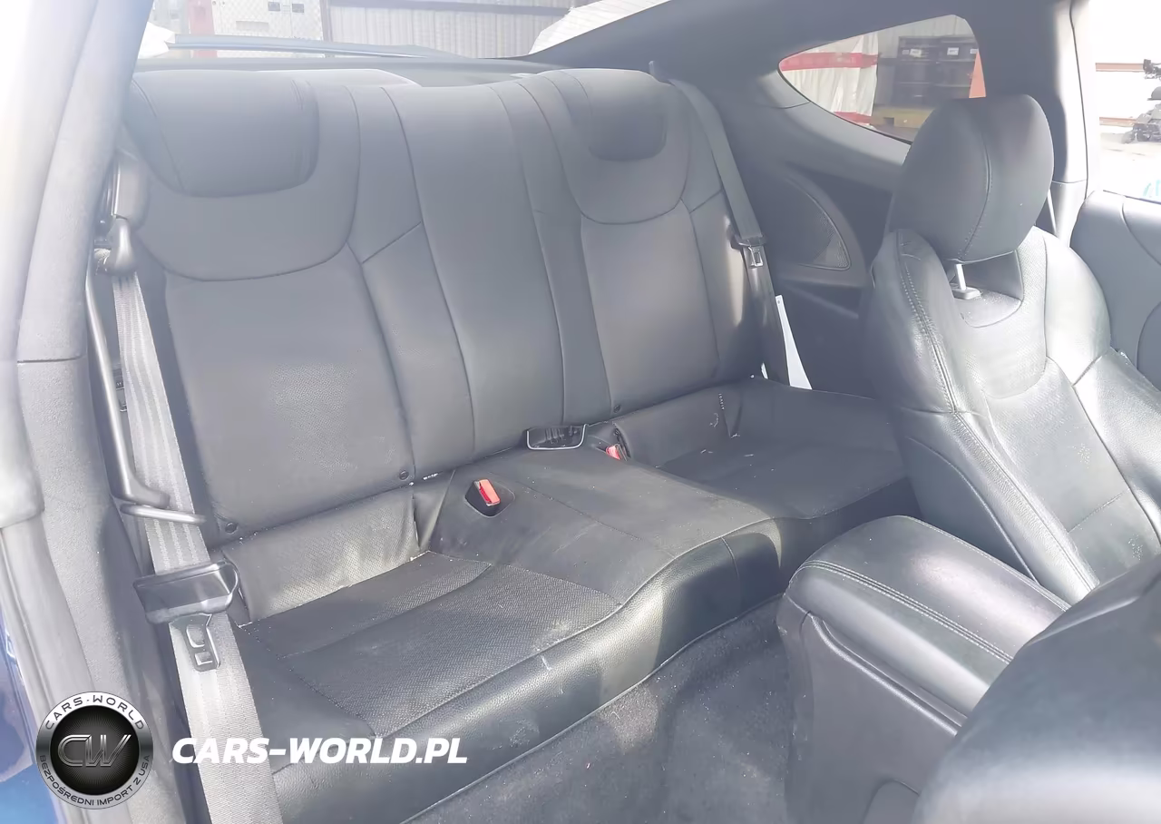 2014 Hyundai Genesis 3.8 Ultimate VIN:KMHHU6KJ5EU117729 - 8