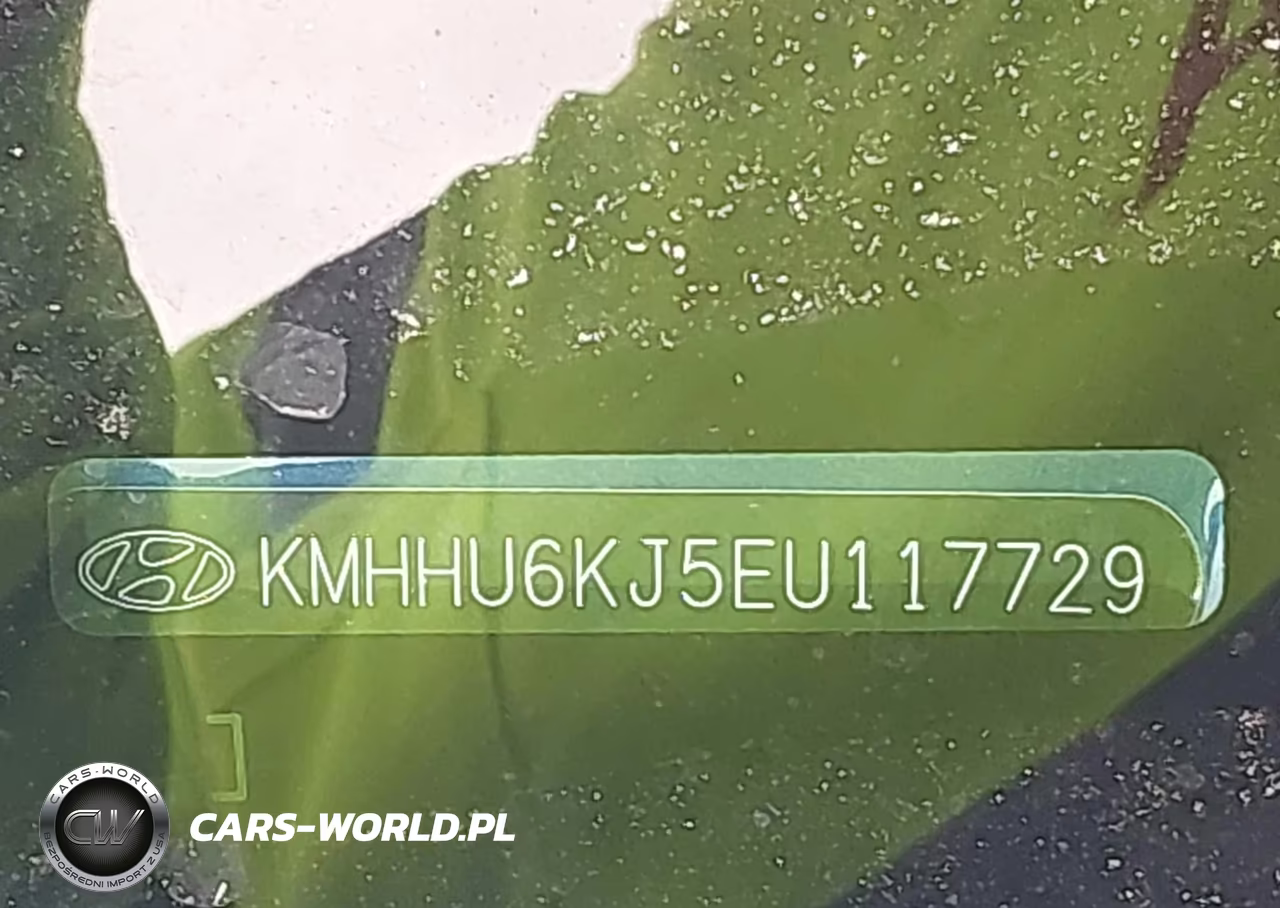 2014 Hyundai Genesis 3.8 Ultimate VIN:KMHHU6KJ5EU117729 - 9
