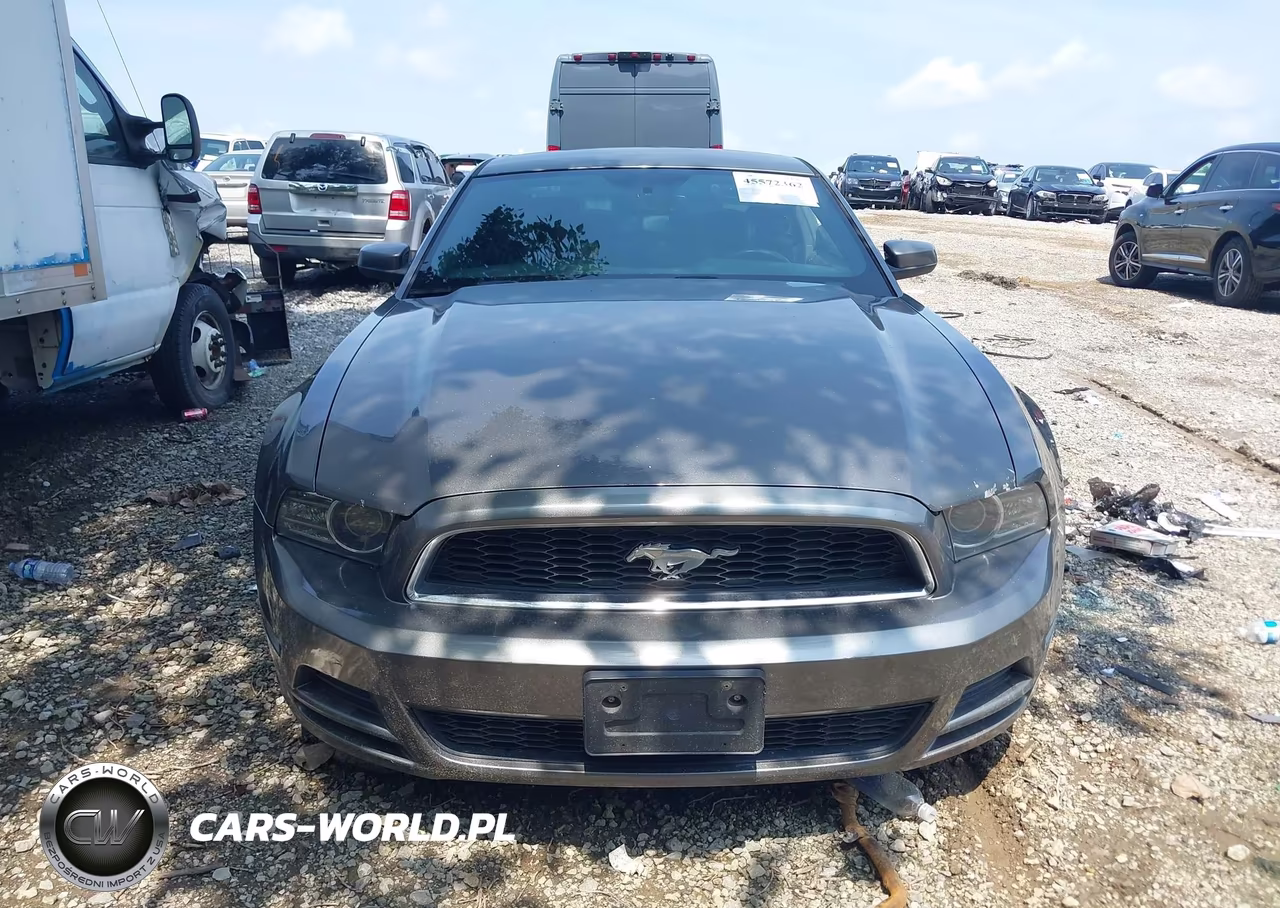 2013 Ford Mustang V6 Premium VIN:1ZVBP8AM2D5243786 - 12