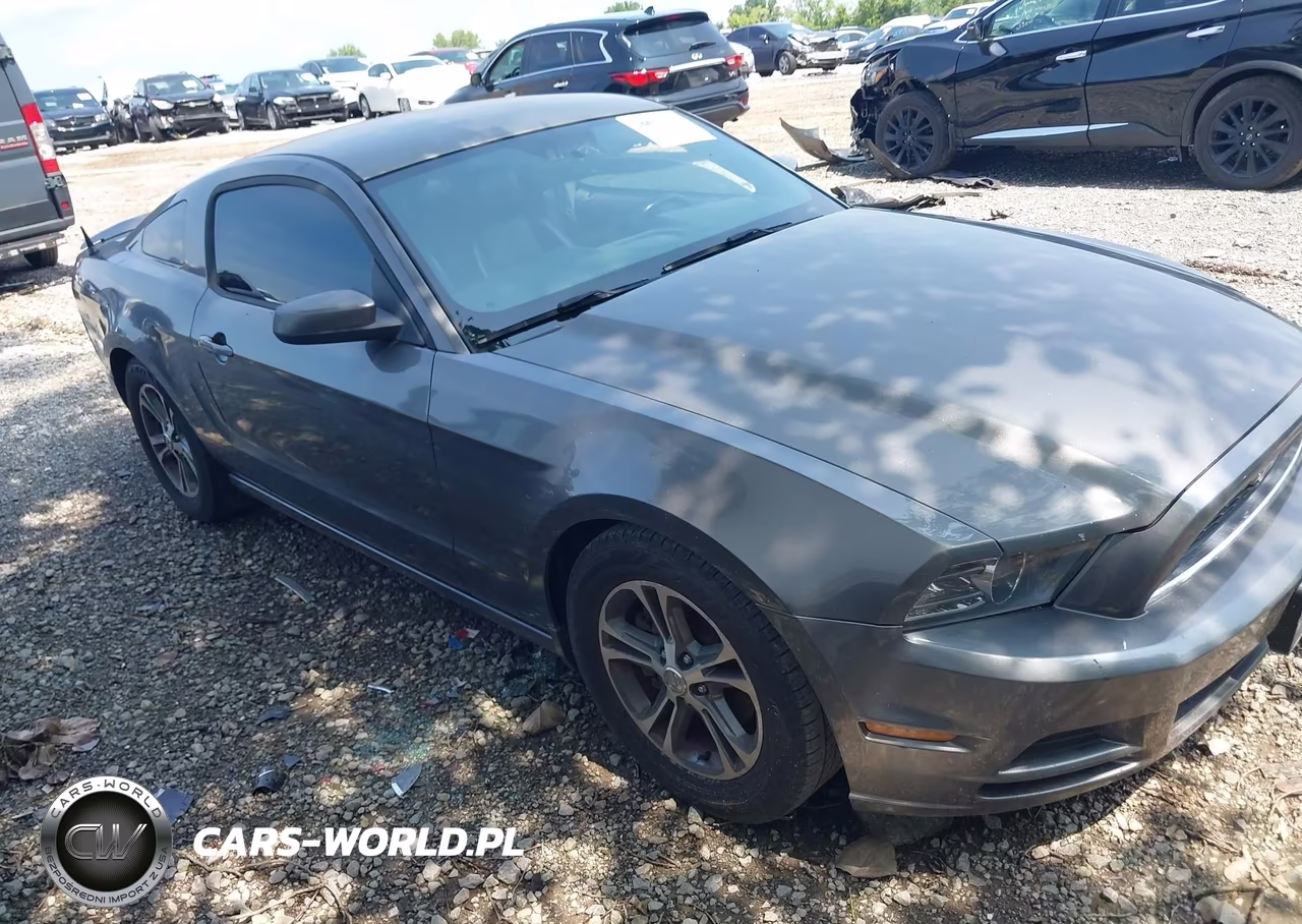 2013 Ford Mustang V6 Premium VIN:1ZVBP8AM2D5243786 - 13