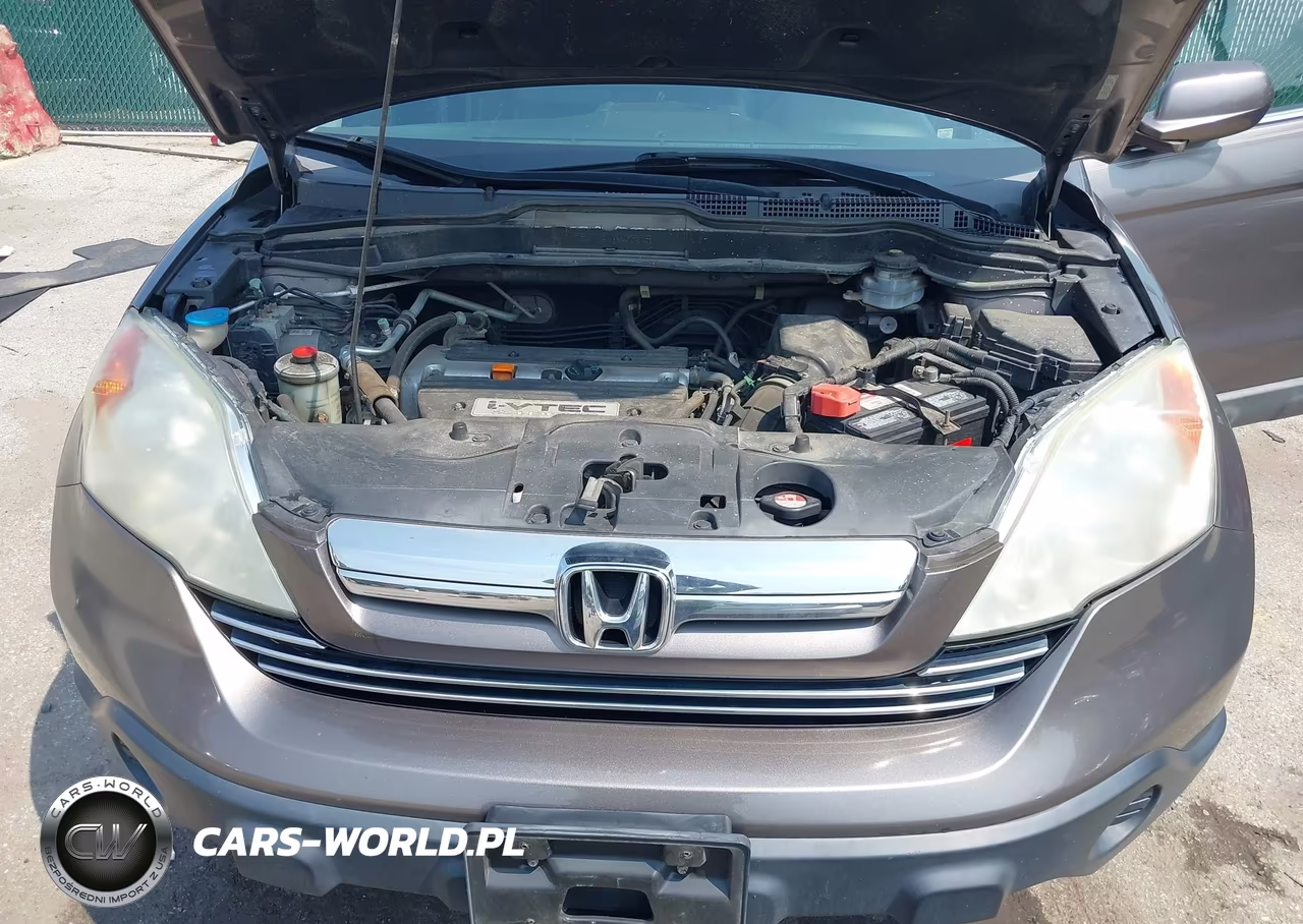 2009 Honda Cr-V Ex-L VIN:5J6RE48769L039294 - 10