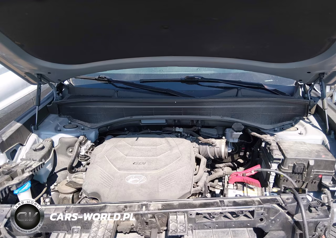 2021 Hyundai Palisade Sel VIN:KM8R3DHE8MU176682 - 10