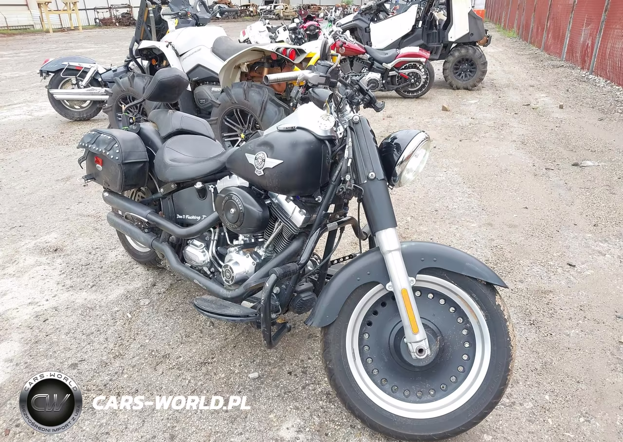 2011 Harley-Davidson Flstfb – zdjęcie 1 z 13