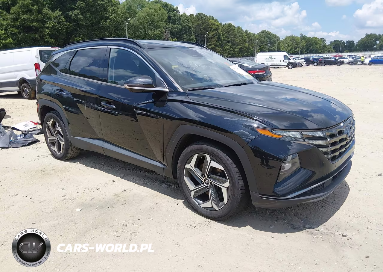 2022 Hyundai Tucson Limited VIN:5NMJE3AE2NH006617 - 1