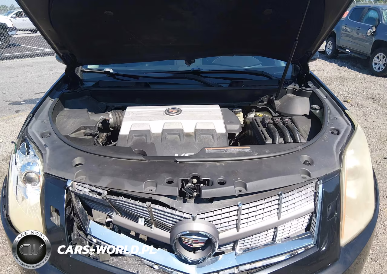 2010 Cadillac Srx Performance Collection VIN:3GYFNBEY6AS558509 - 10