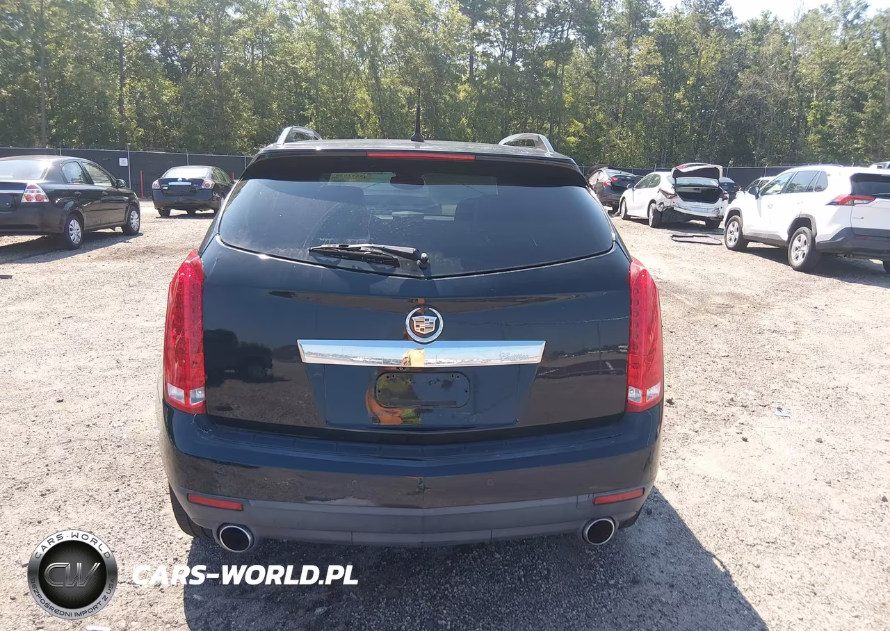 2010 Cadillac Srx Performance Collection VIN:3GYFNBEY6AS558509 - 17