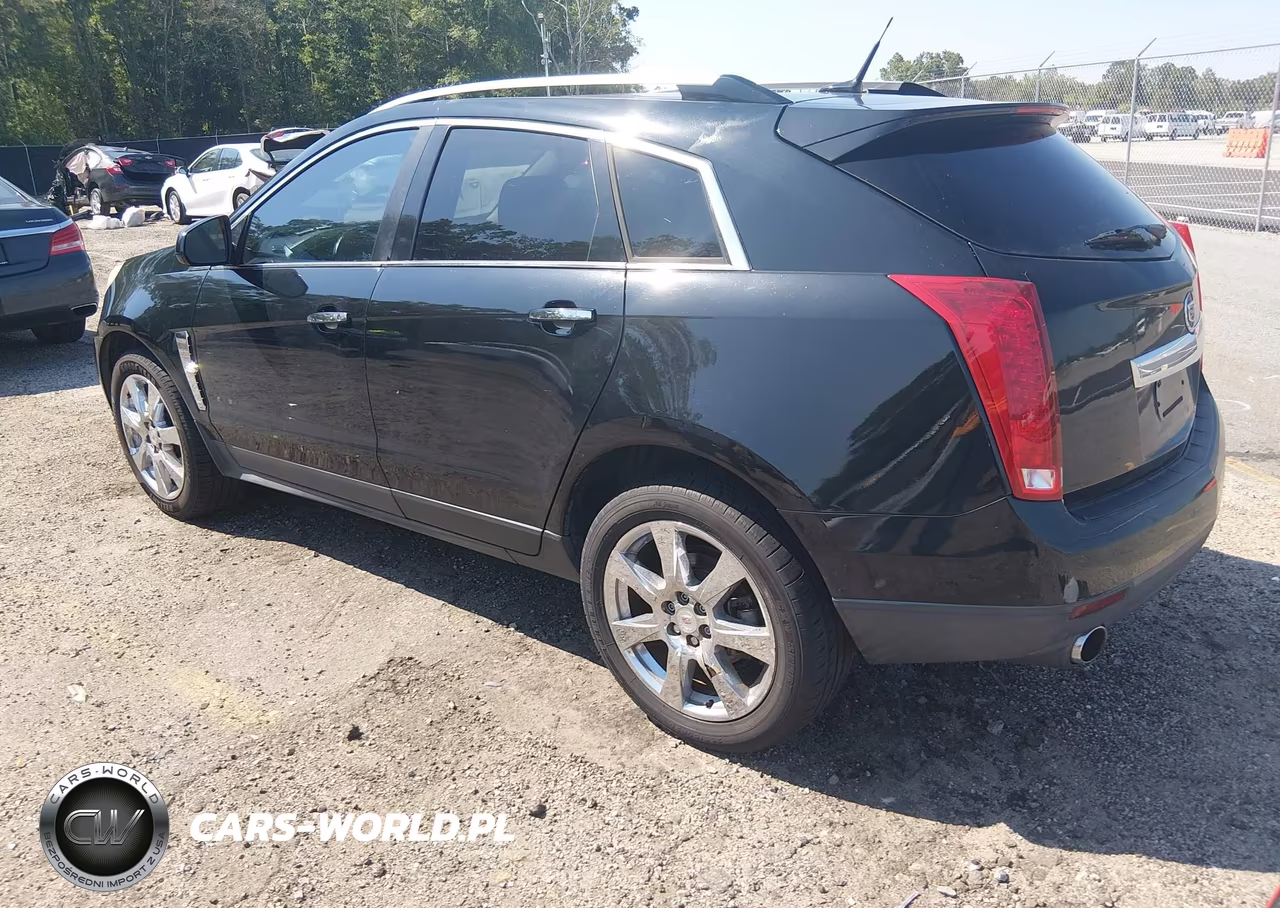 2010 Cadillac Srx Performance Collection VIN:3GYFNBEY6AS558509 - 3