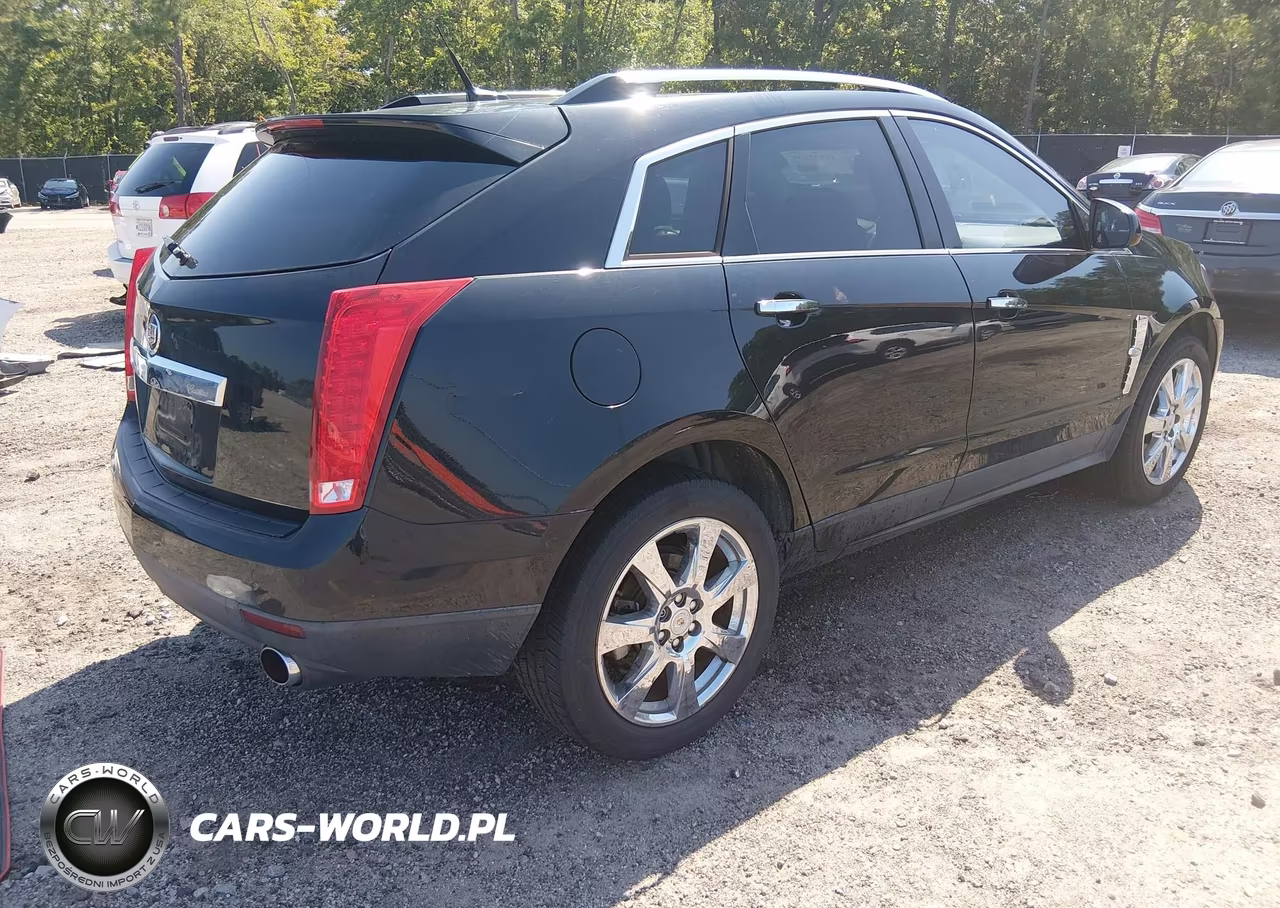 2010 Cadillac Srx Performance Collection VIN:3GYFNBEY6AS558509 - 4