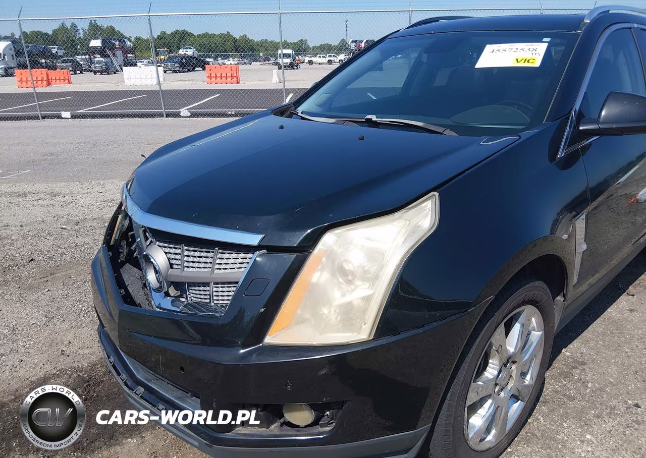 2010 Cadillac Srx Performance Collection VIN:3GYFNBEY6AS558509 - 6