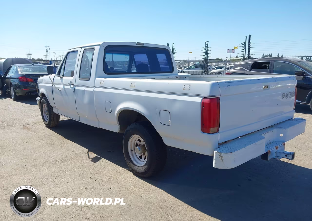 1993 Ford F150 VIN:1FTEX15N2PKA48397 - 13
