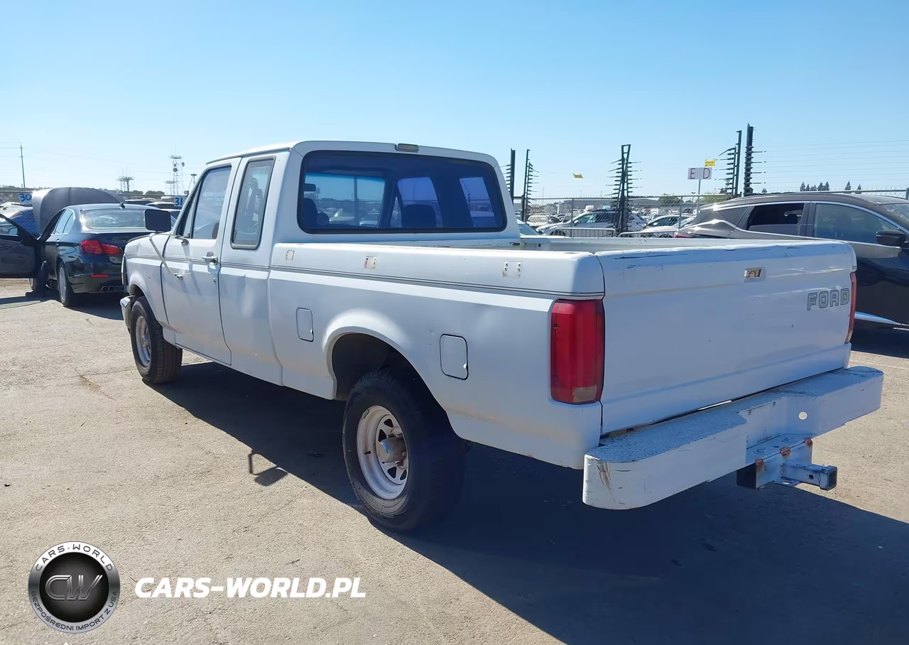 1993 Ford F150 VIN:1FTEX15N2PKA48397 - 3