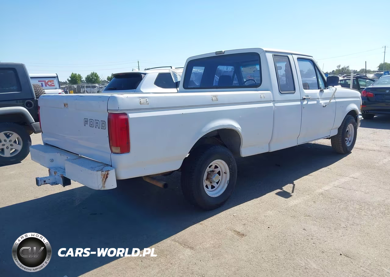 1993 Ford F150 VIN:1FTEX15N2PKA48397 - 4