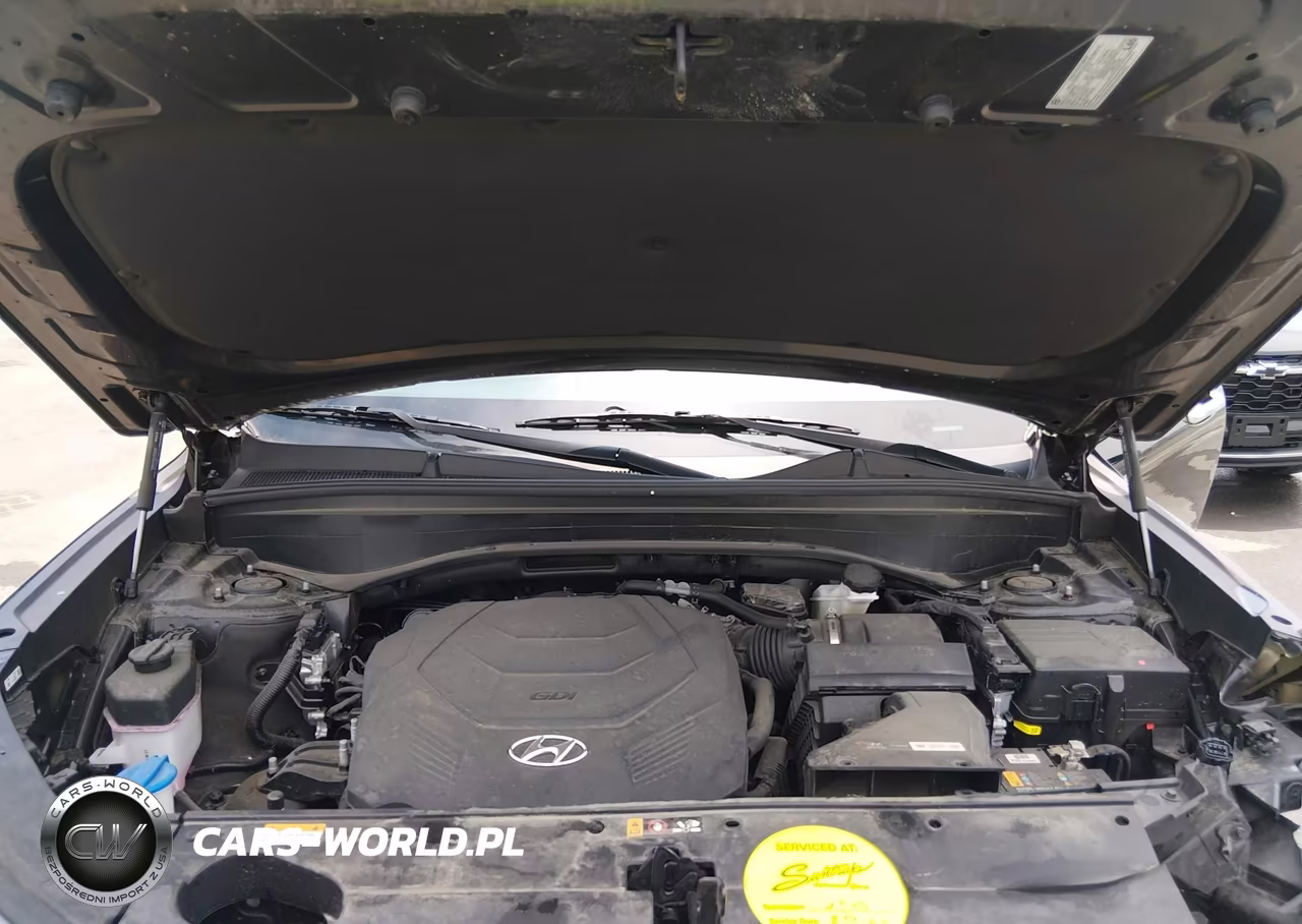 2021 Hyundai Palisade Sel VIN:KM8R4DHE5MU300503 - 10