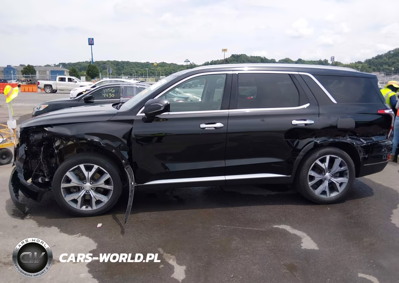 2021 Hyundai Palisade Sel VIN:KM8R4DHE5MU300503 - 6
