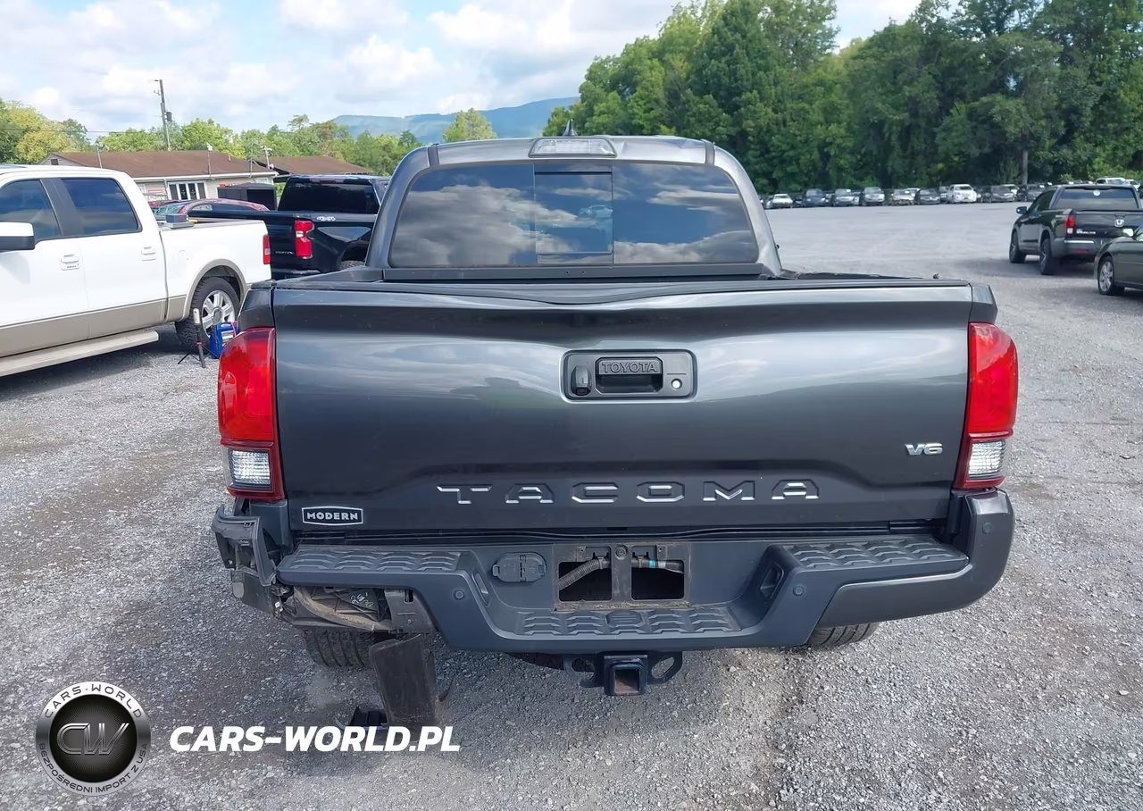2019 Toyota Tacoma Trd Off Road VIN:3TMCZ5AN8KM231688 - 17