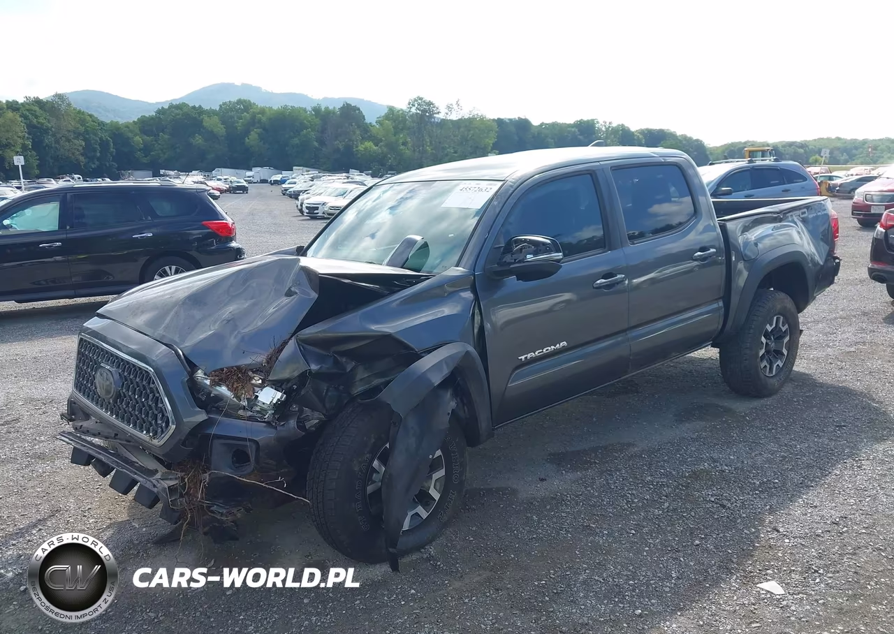 2019 Toyota Tacoma Trd Off Road VIN:3TMCZ5AN8KM231688 - 2