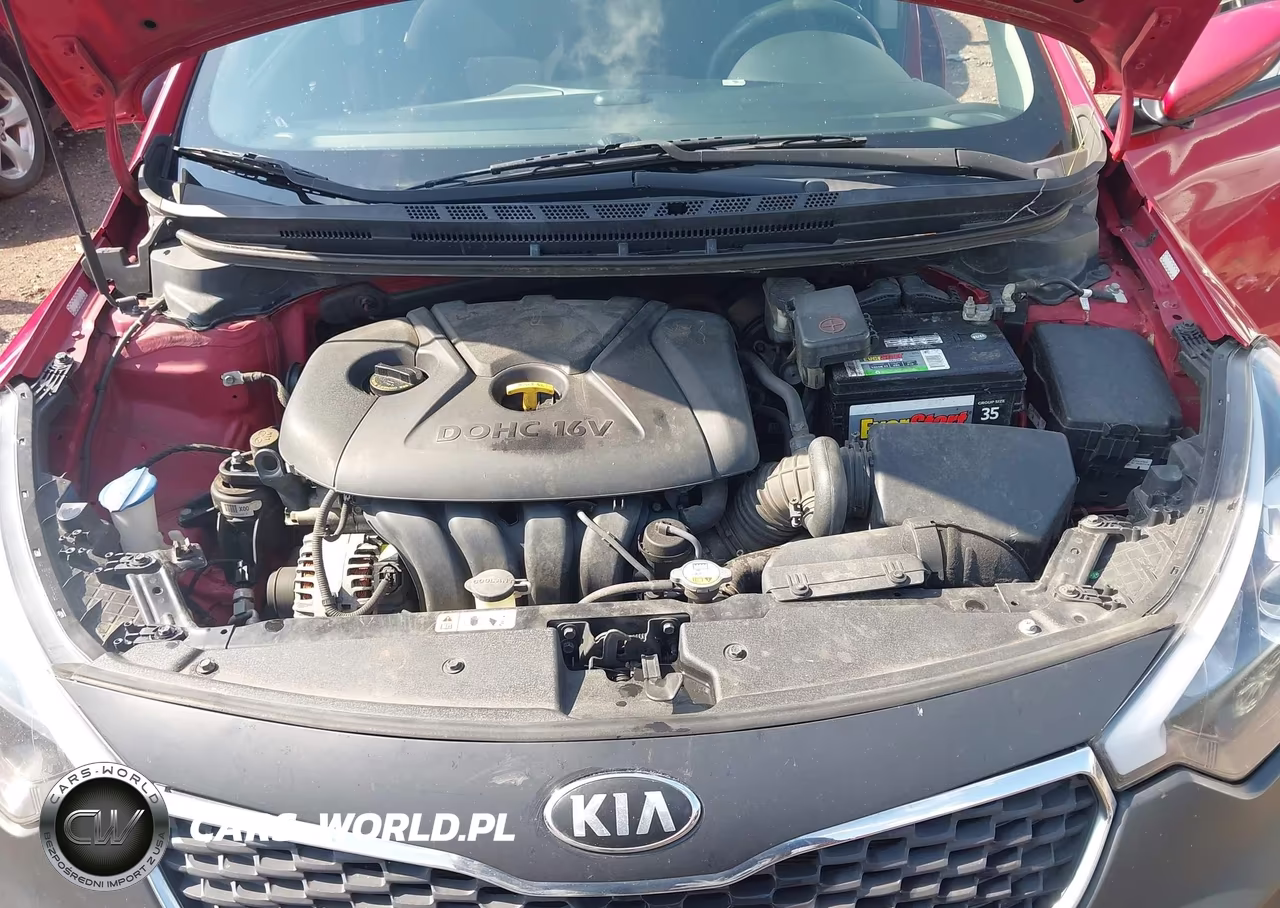 2016 Kia Forte Lx VIN:KNAFK4A61G5573594 - 10
