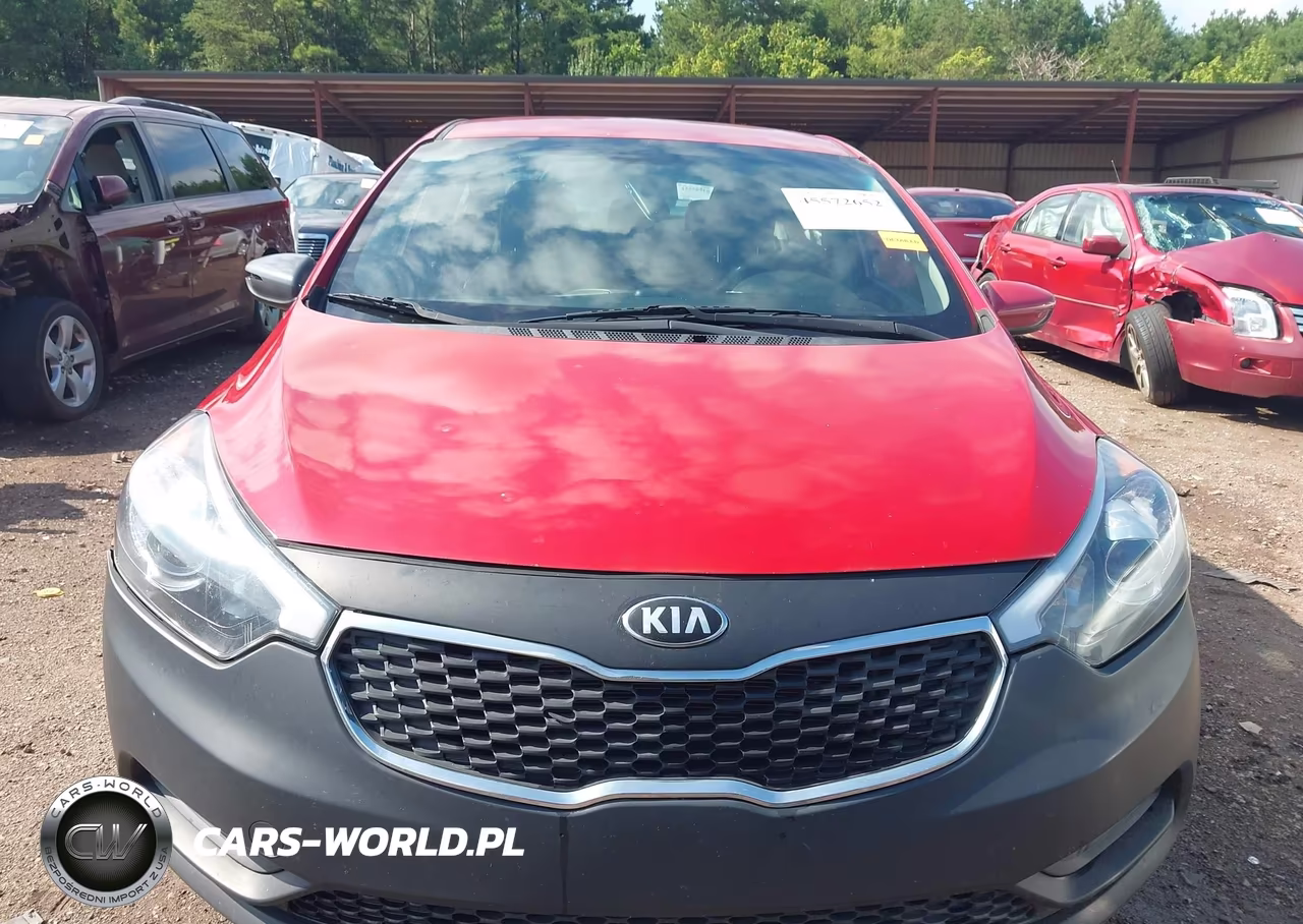 2016 Kia Forte Lx VIN:KNAFK4A61G5573594 - 13