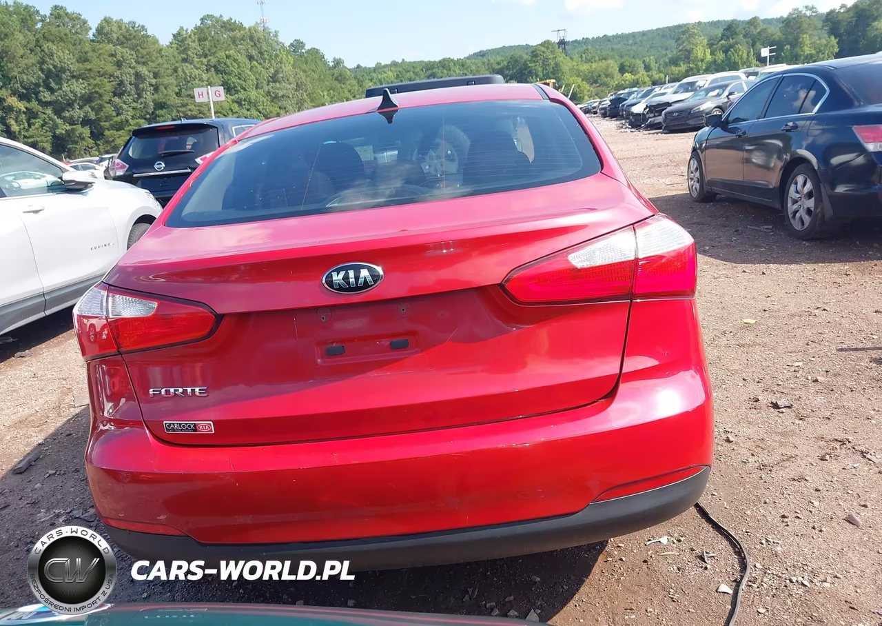 2016 Kia Forte Lx VIN:KNAFK4A61G5573594 - 17