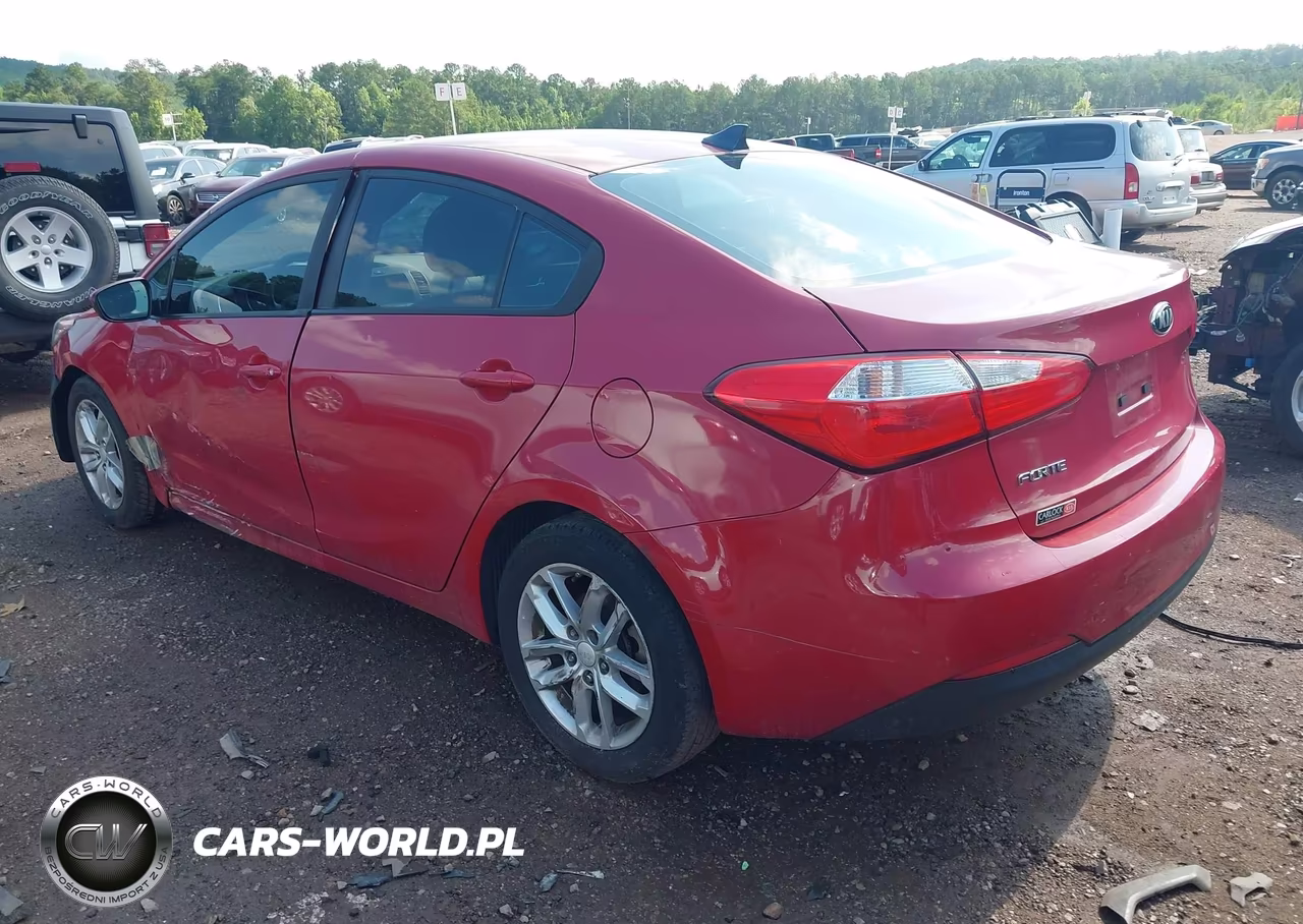2016 Kia Forte Lx VIN:KNAFK4A61G5573594 - 3