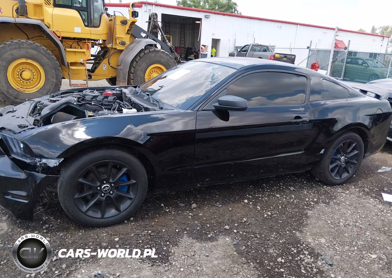 2012 Ford Mustang V6 Premium VIN:1ZVBP8AM9C5244643 - 15