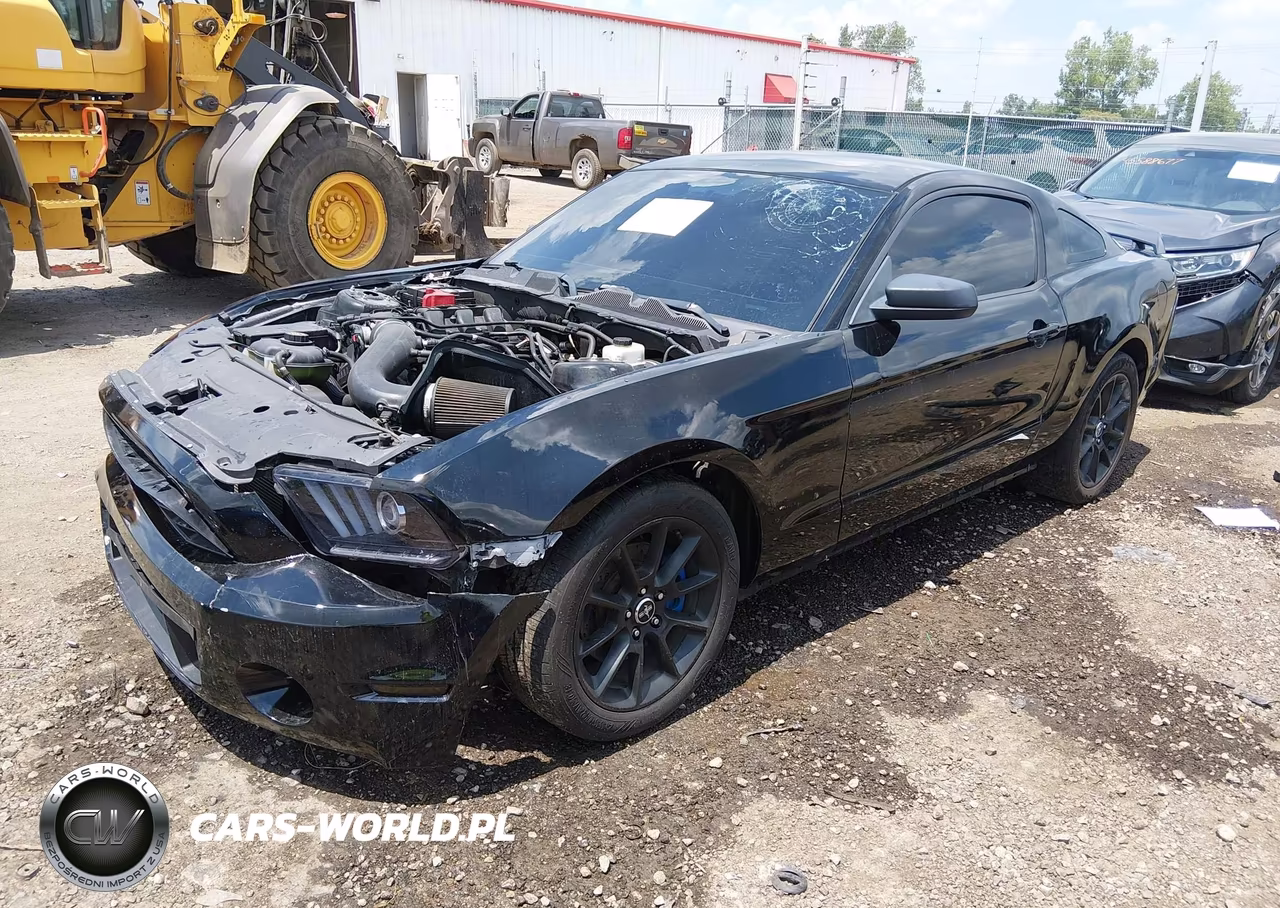 2012 Ford Mustang V6 Premium VIN:1ZVBP8AM9C5244643 - 2