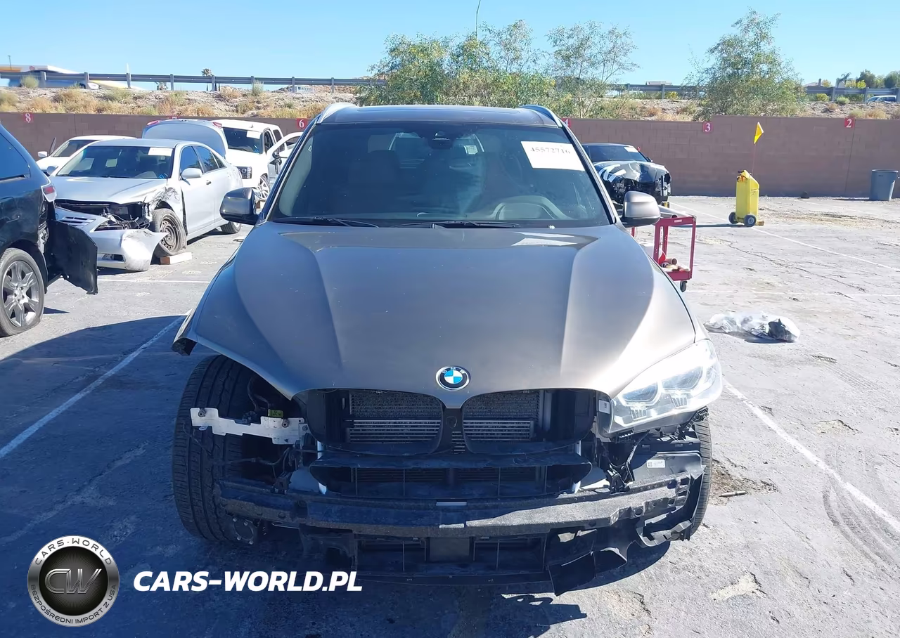 2017 BMW X5 Edrive xDrive40E Iperformance VIN:5UXKT0C51H0S80433 - 13