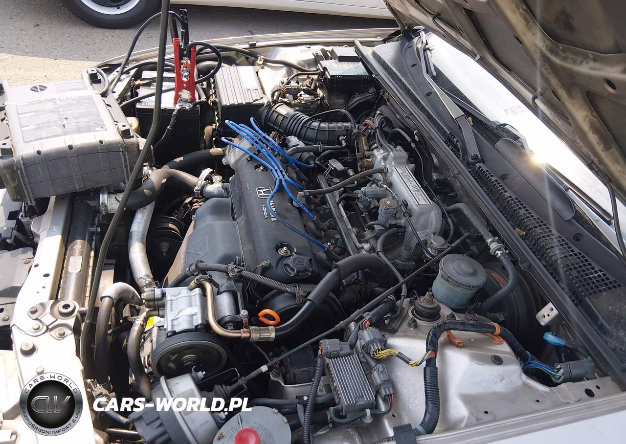 1993 Honda Accord Lx VIN:JHMCB7654PC052662 - 10