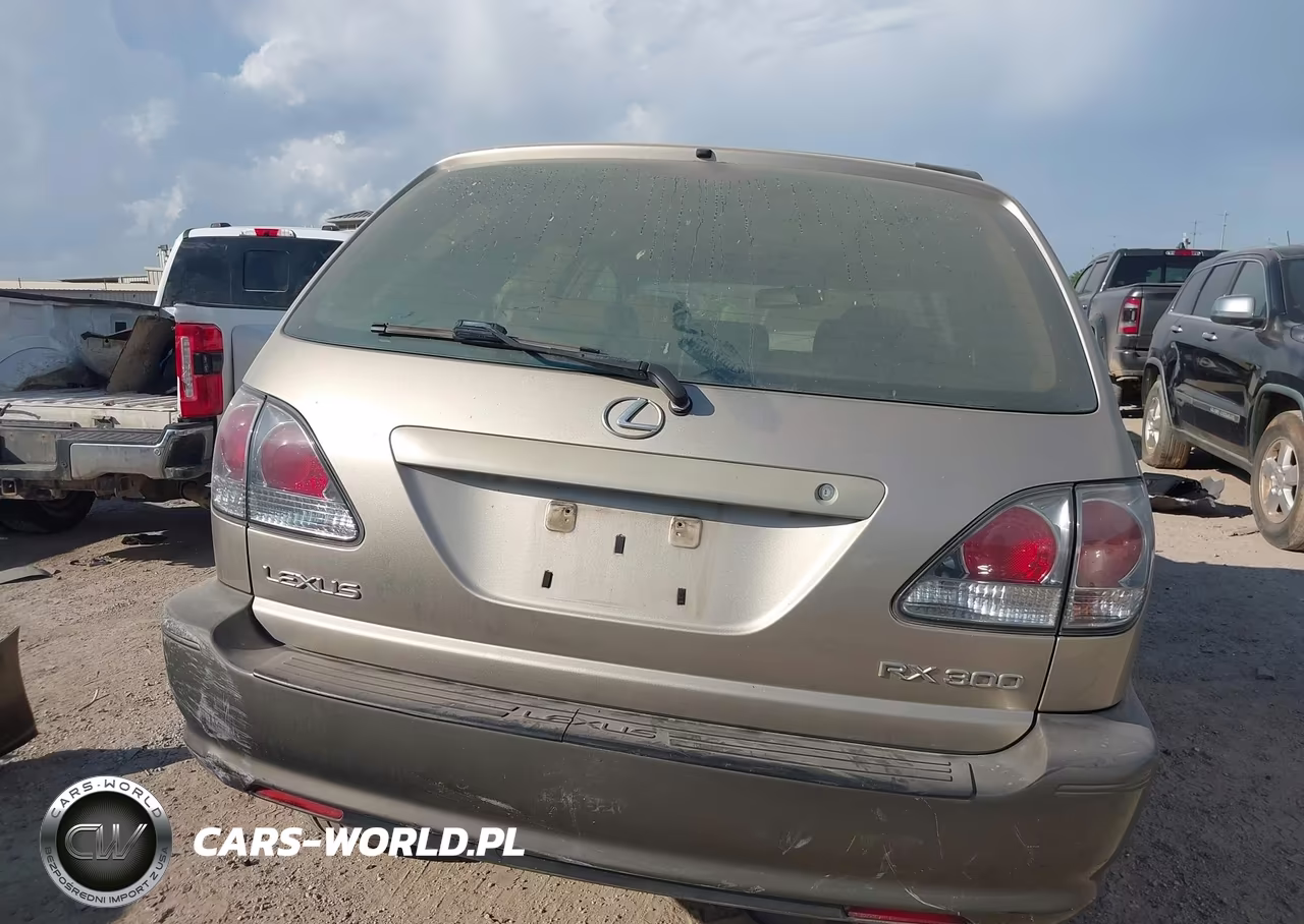 2002 Lexus Rx 300 VIN:JTJGF10U020126347 - 16
