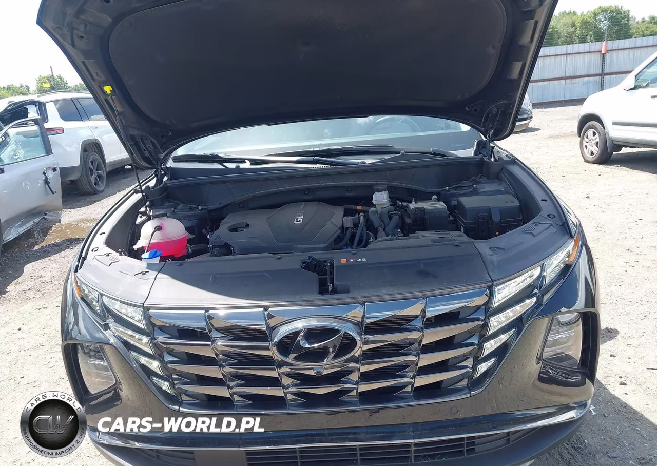 2024 Hyundai Tucson Limited VIN:5NMJECDE6RH438015 - 10