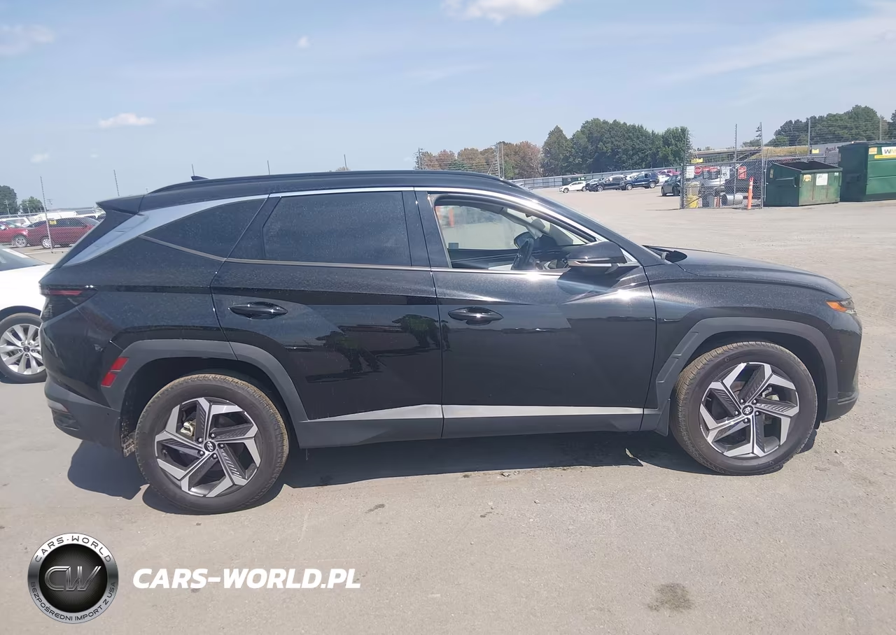 2024 Hyundai Tucson Limited VIN:5NMJECDE6RH438015 - 13