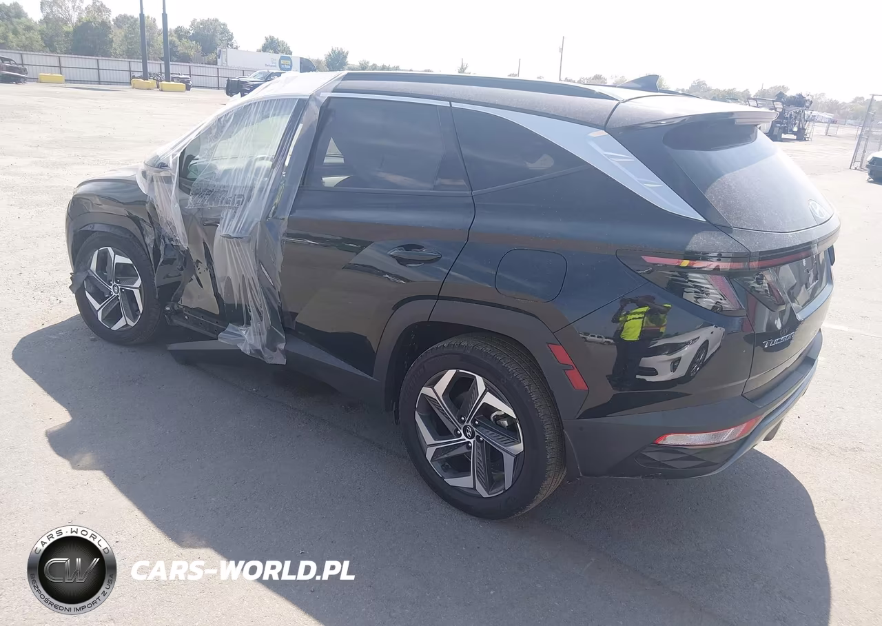2024 Hyundai Tucson Limited VIN:5NMJECDE6RH438015 - 3
