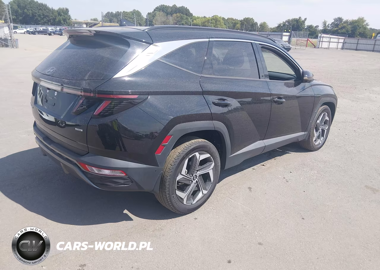 2024 Hyundai Tucson Limited VIN:5NMJECDE6RH438015 - 4