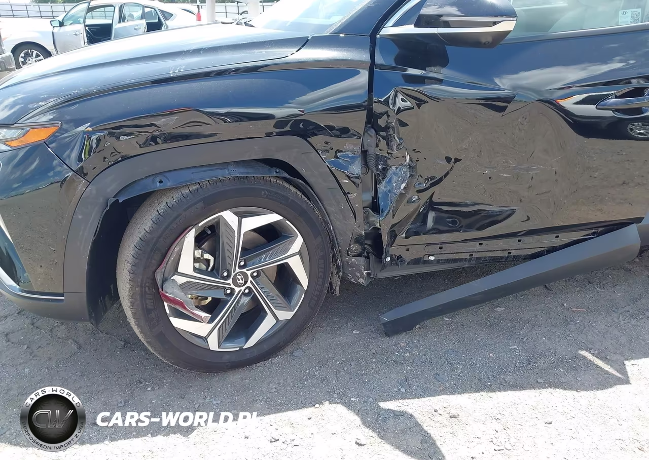 2024 Hyundai Tucson Limited VIN:5NMJECDE6RH438015 - 6