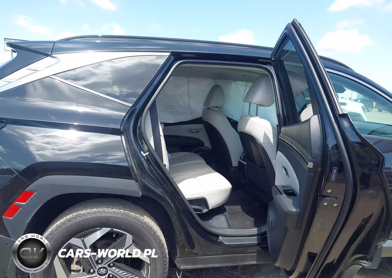 2024 Hyundai Tucson Limited VIN:5NMJECDE6RH438015 - 8