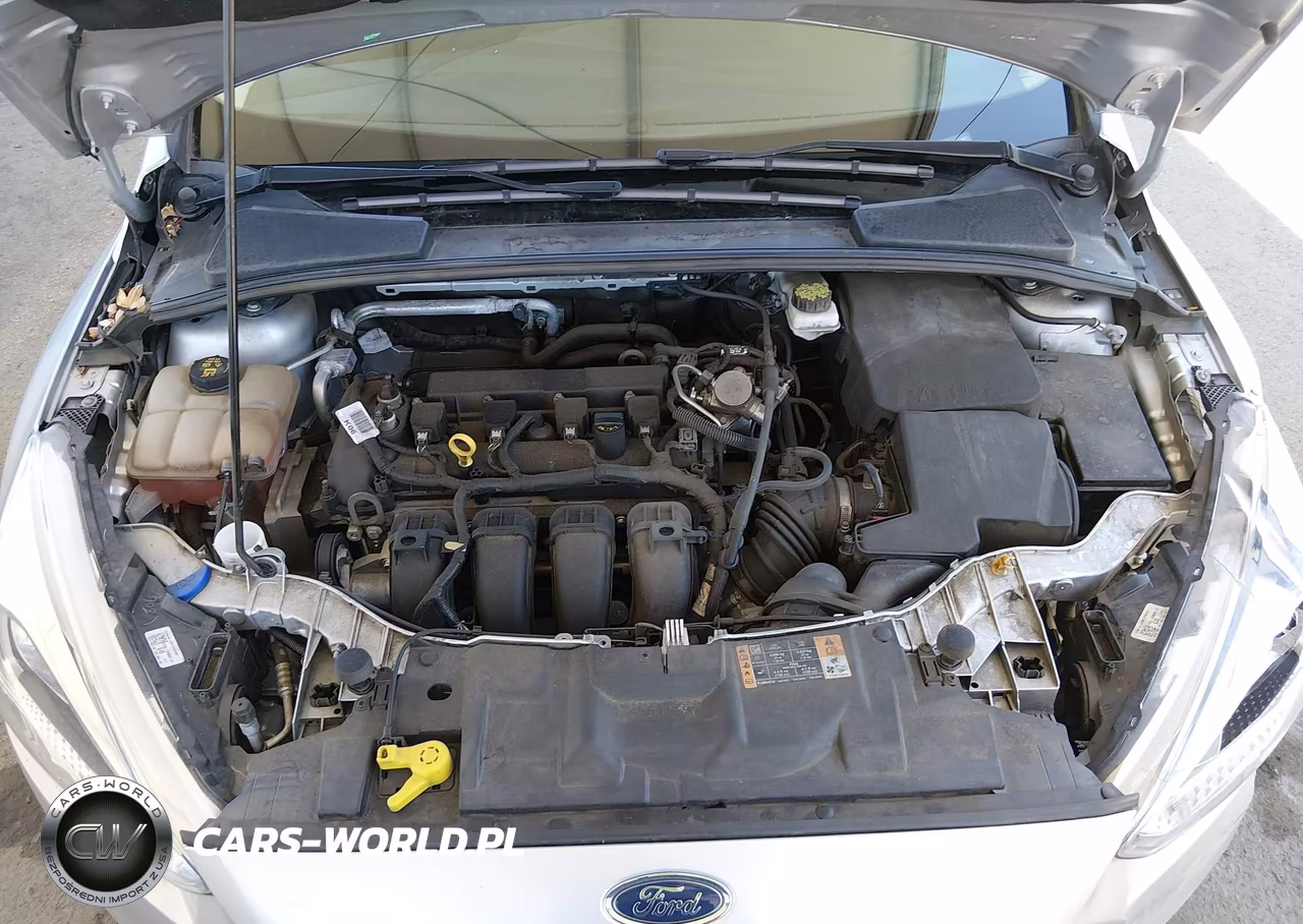 2018 Ford Focus Se VIN:1FADP3K24JL251154 - 10